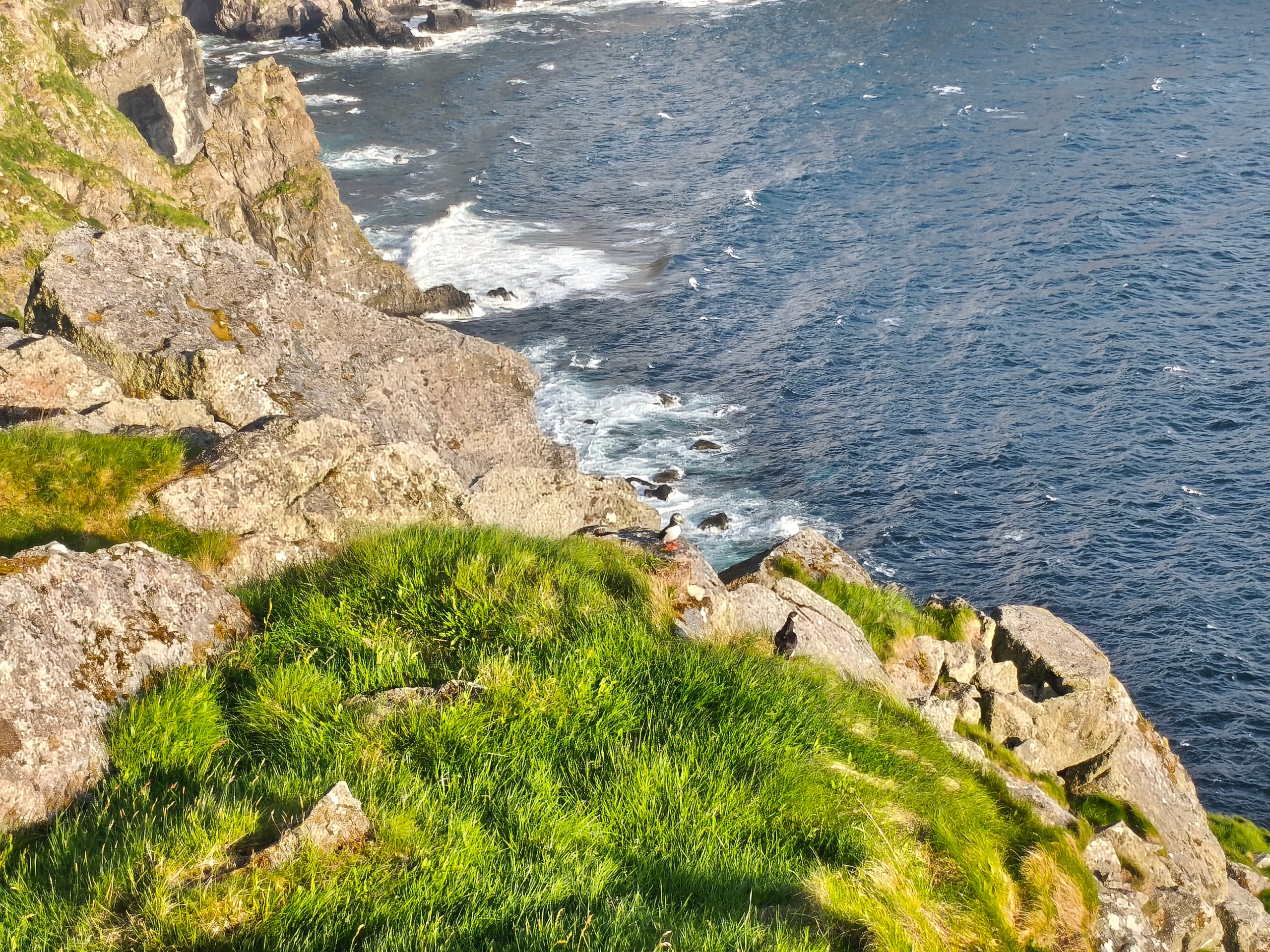 Two Atlantic puffins on grey rocks above green cliff grass, with white surf against dark Atlantic water below