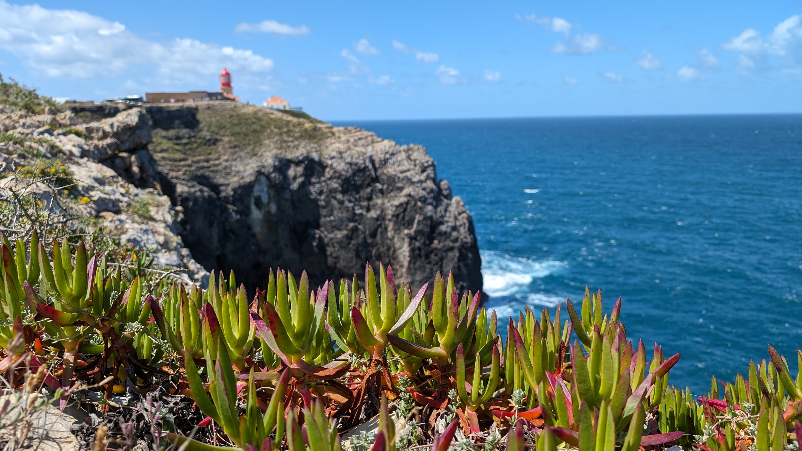 Cabo de São Vicente lighthouse on dark cliffs above the Atlantic, with green and red succulents in the foreground