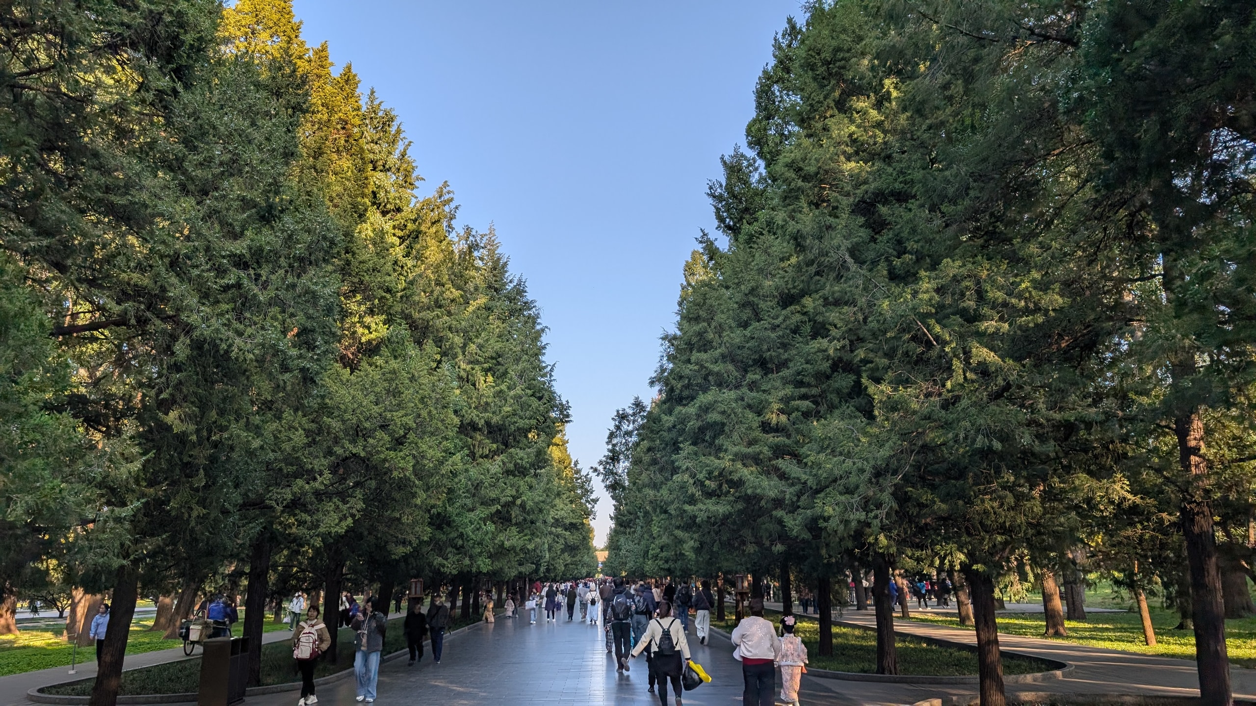 A broad path runs between tall old cypress trees inside Beijing's Temple of Heaven park