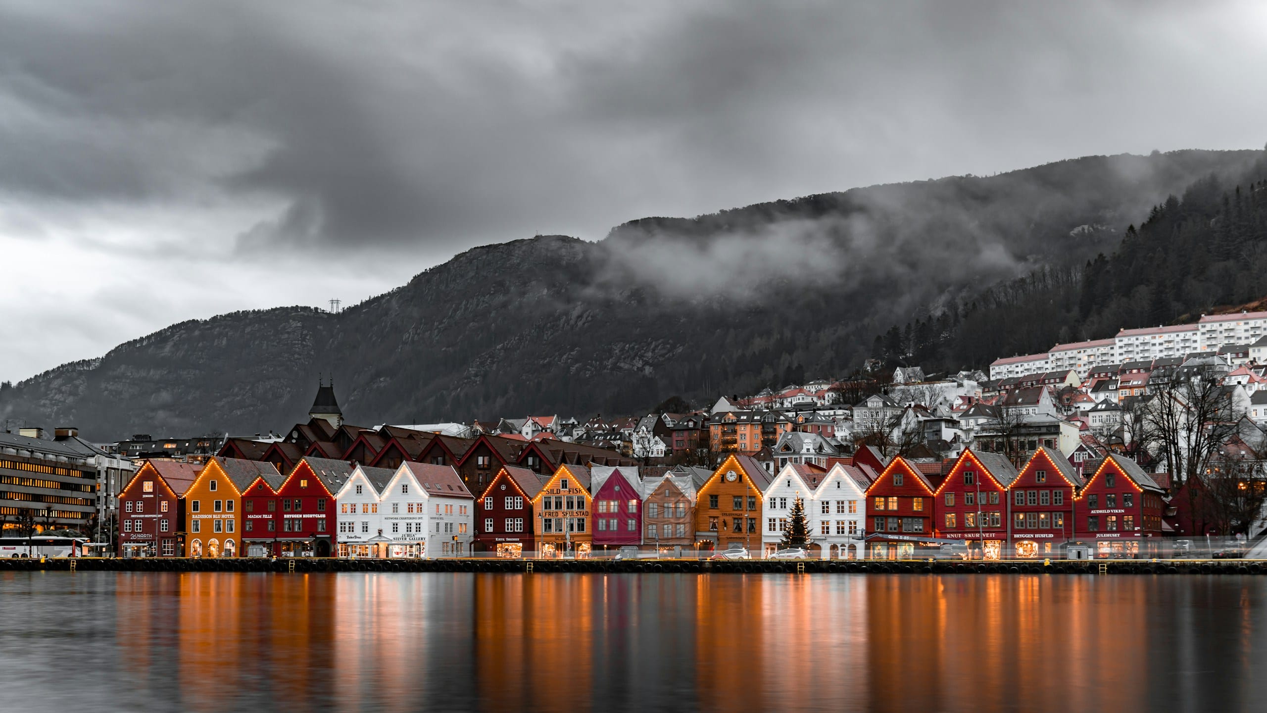 Panoramic view of Bergen's colourful rooftops and harbour from the hills above the city