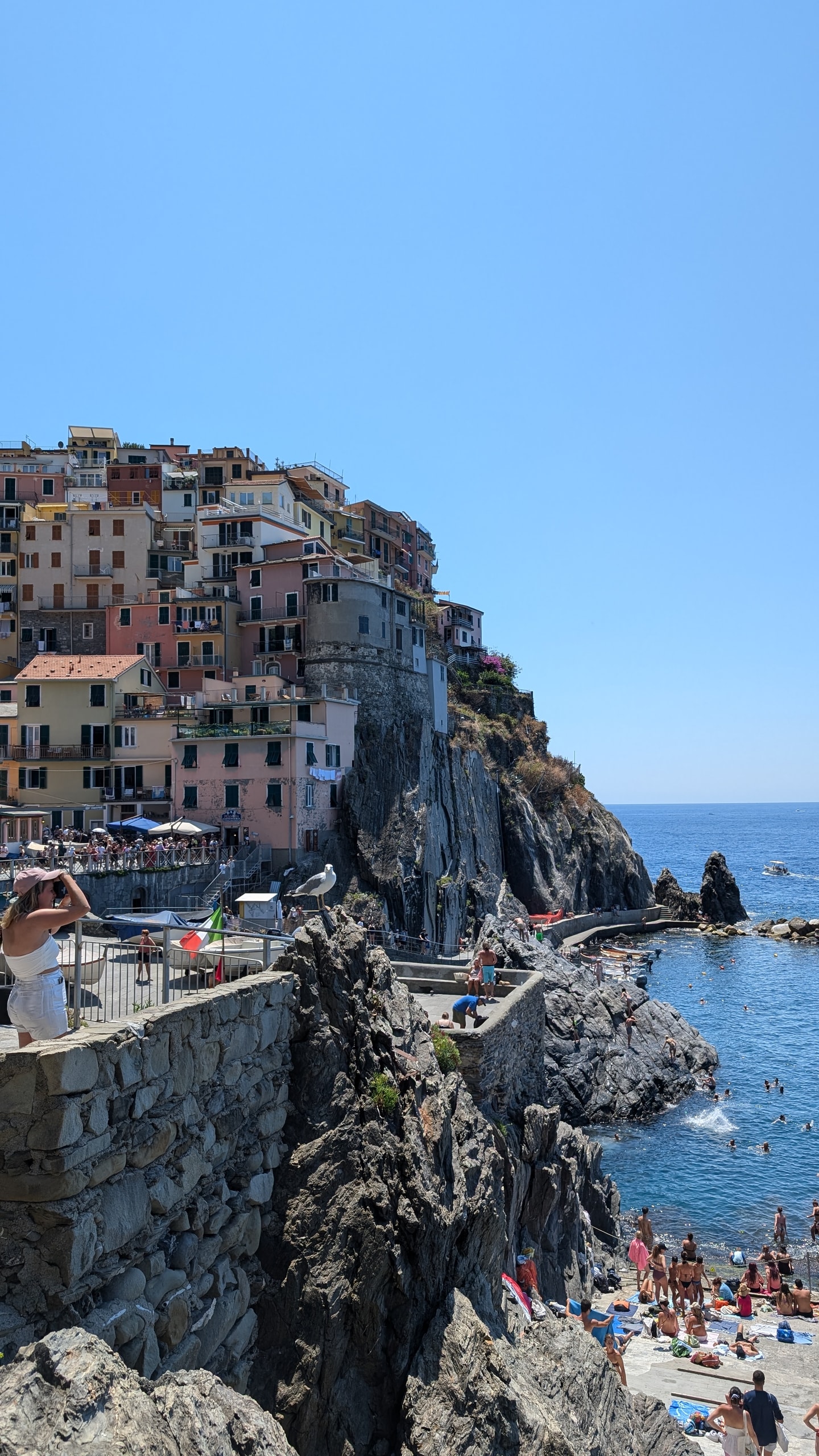 Manarola's pastel houses on top of a dark cliff, with a seagull on a stone wall and swimmers on the rocks and in the sea below