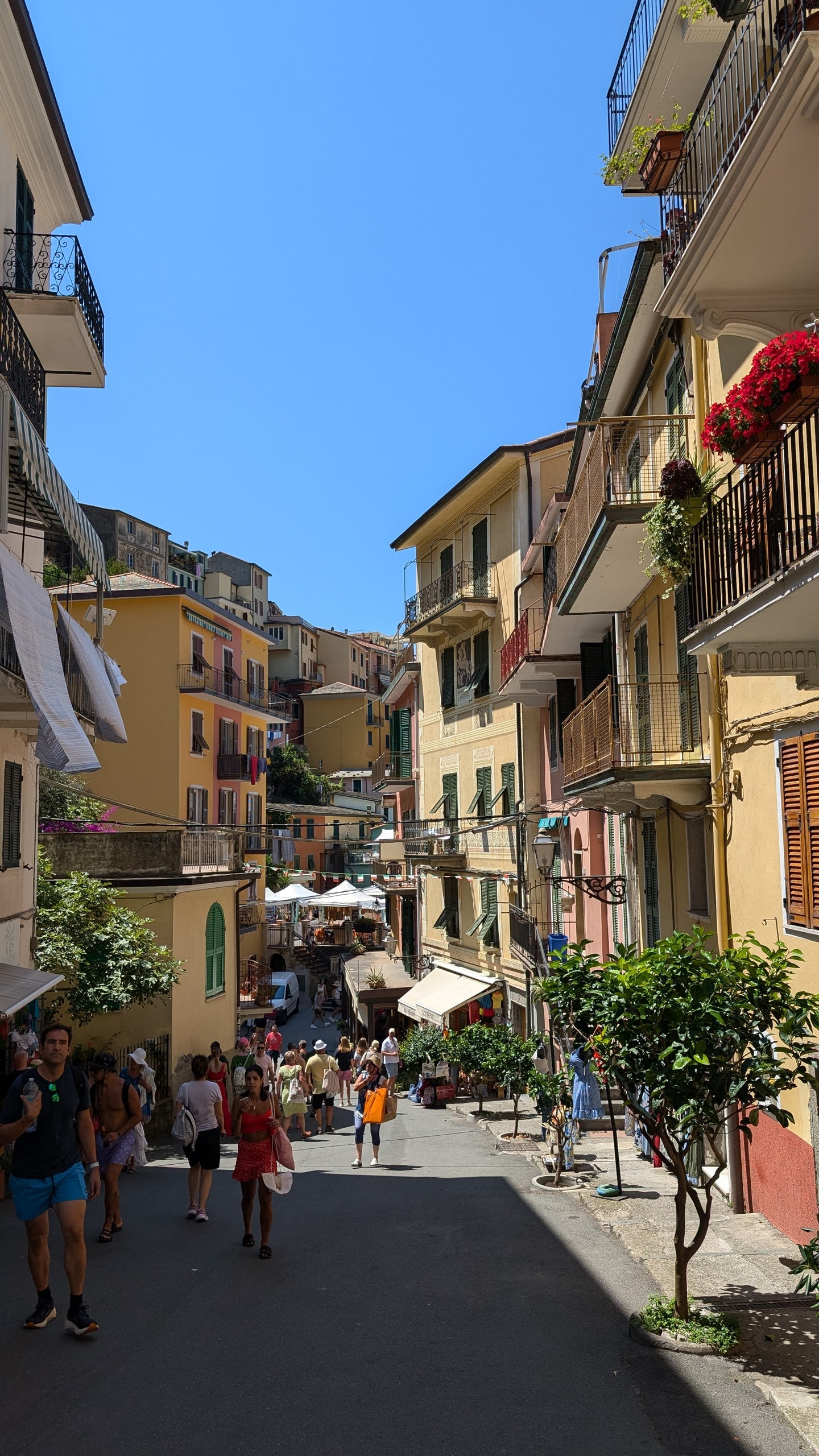 Crowds walking down Via Discovolo in Manarola between tall yellow and pink houses with green shutters and flower-filled balconies