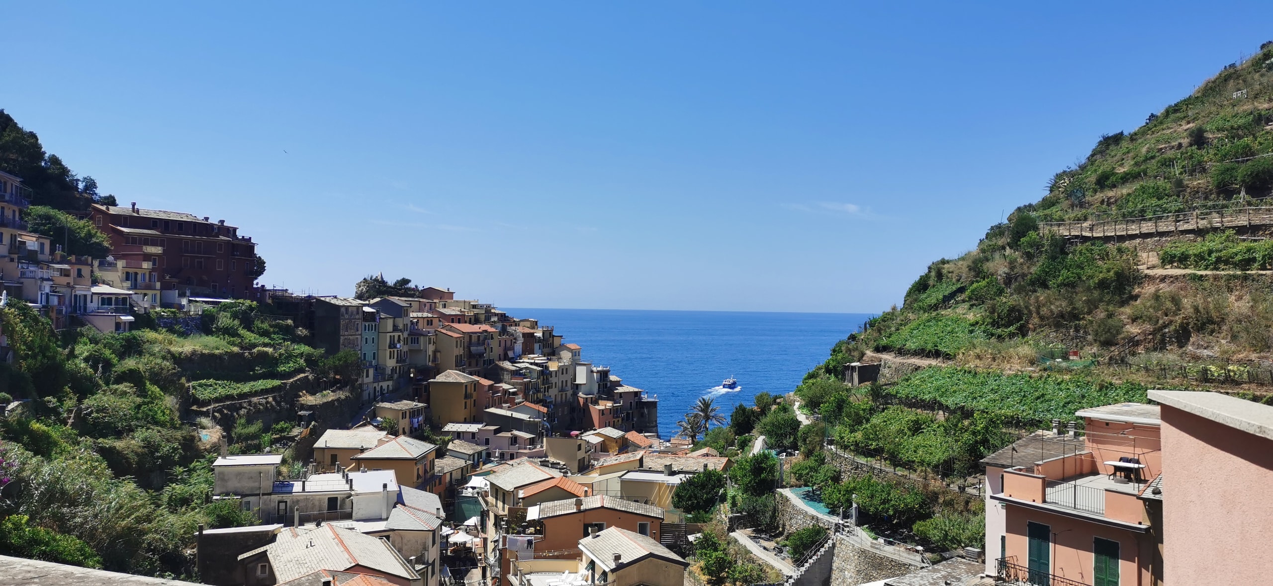 View from the top of Manarola down a ravine of houses to the blue sea, with terraced vineyards on the hillside to the right and a boat leaving a white wake