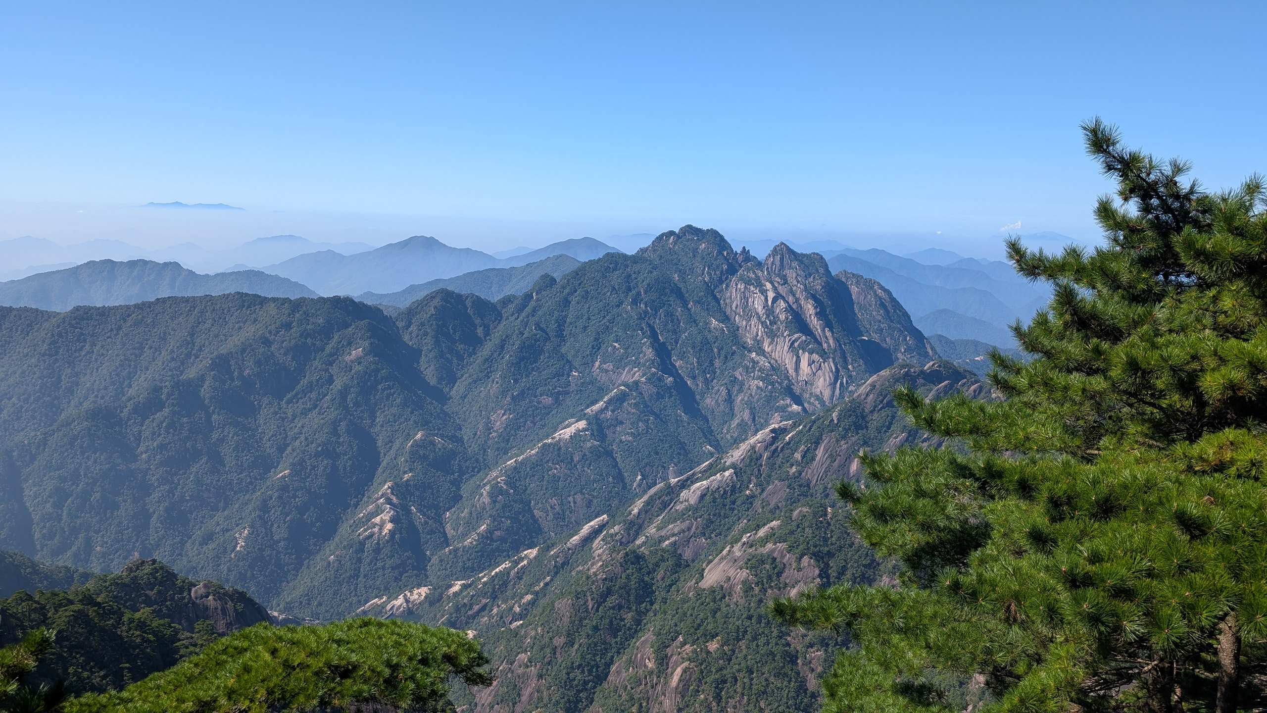 Huangshan pine branches framing jagged granite peaks and layered blue ridges under a clear sky