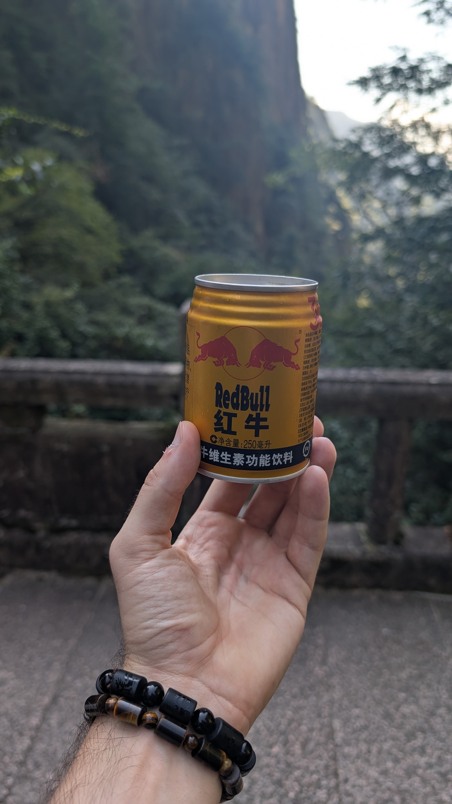 Hand holding a Chinese Red Bull can on a stone path with Huangshan cliffs and forest blurred behind