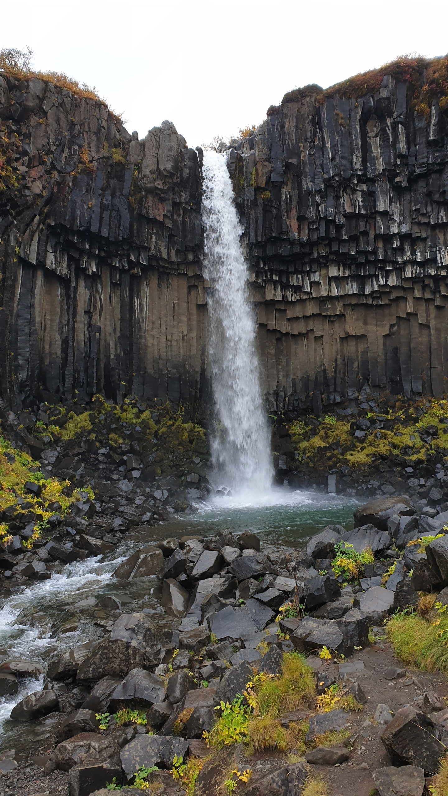 Svartifoss waterfall dropping into a pool below dark hexagonal basalt columns with moss on the rocks