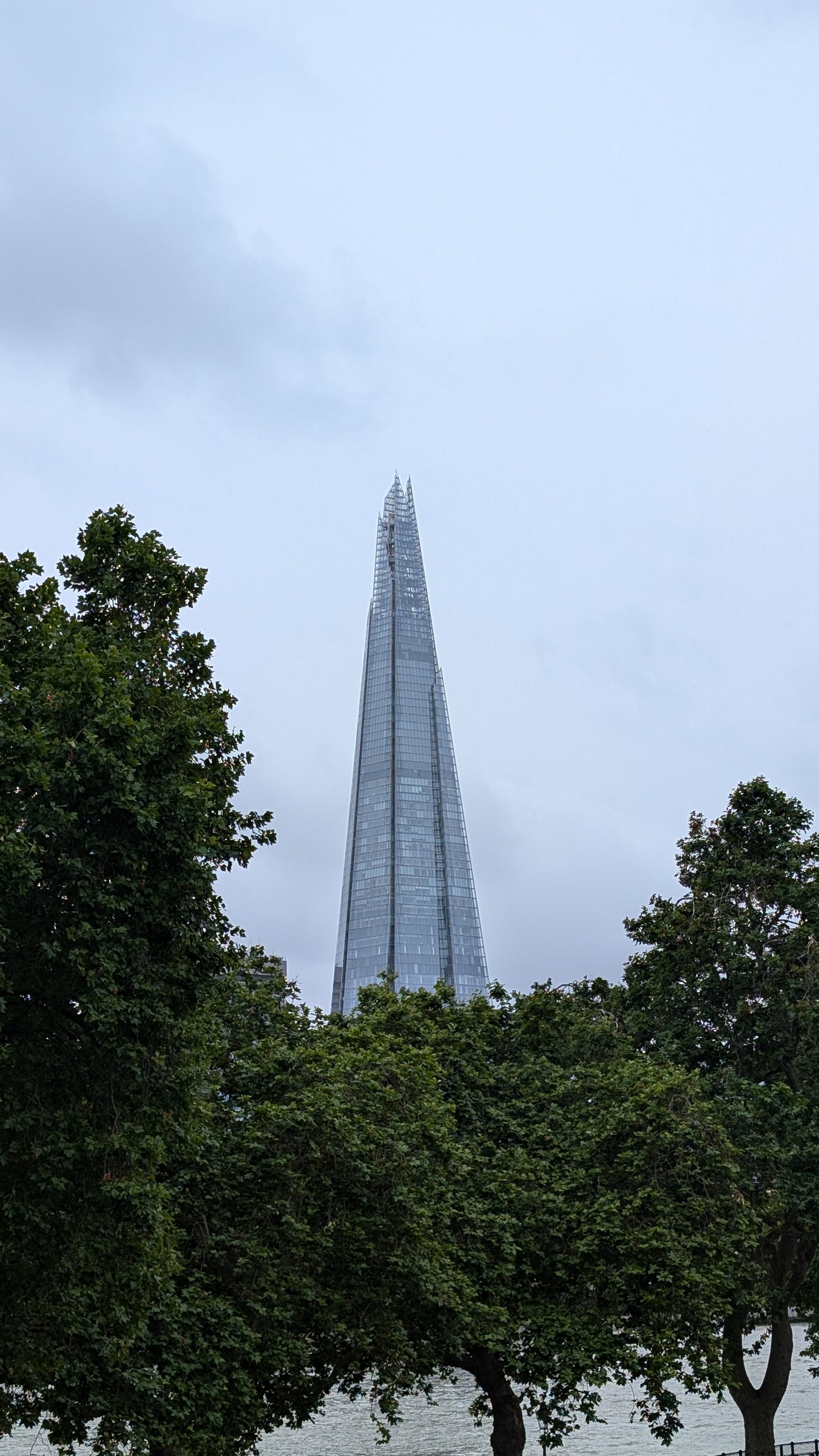 The glass tip of the Shard rising above a line of dark green trees on the north bank of the Thames under a flat grey sky