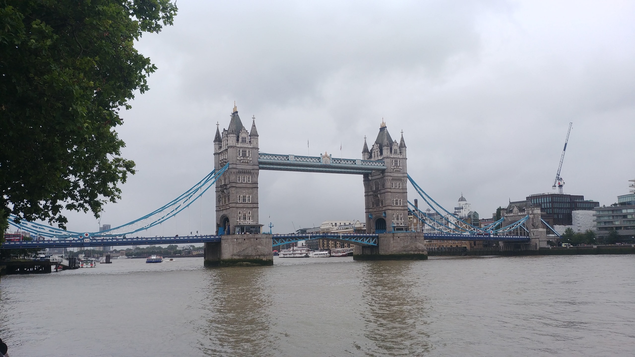 Tower Bridge under a flat grey sky, seen from the north bank of the Thames with a tree in the foreground and the brown river in front