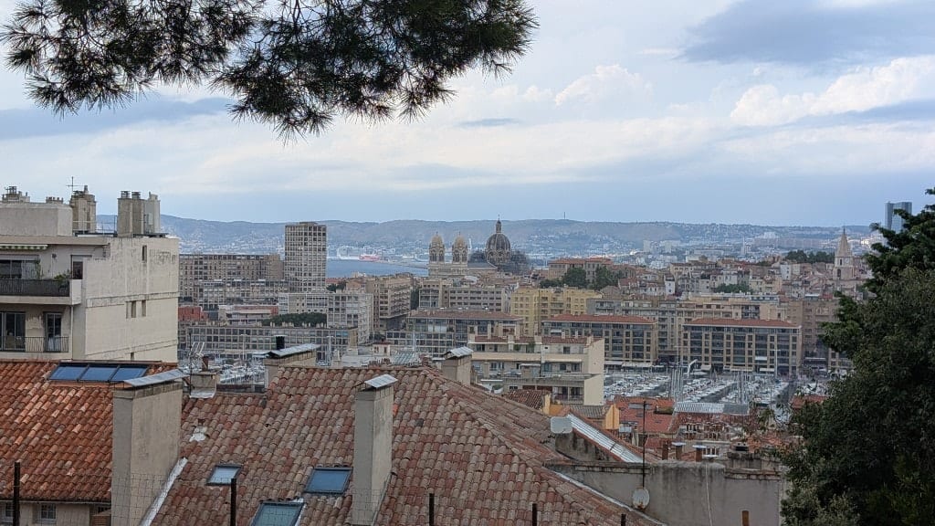 Terracotta rooftops in the foreground, the green domes of La Major cathedral and the old port beyond, hills on the horizon, framed by a pine branch