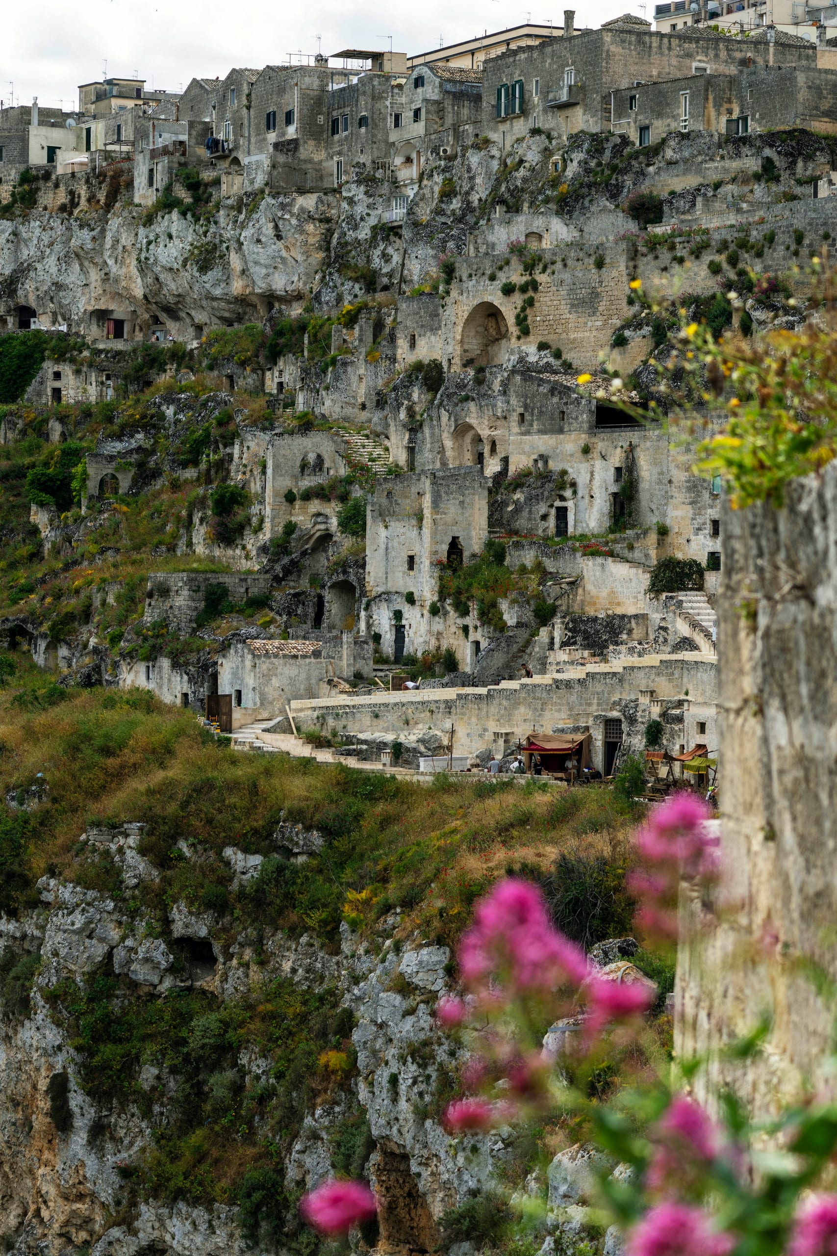 Close view of Matera's limestone cave dwellings and stacked stone houses rising above the Gravina gorge with wildflowers in the foreground