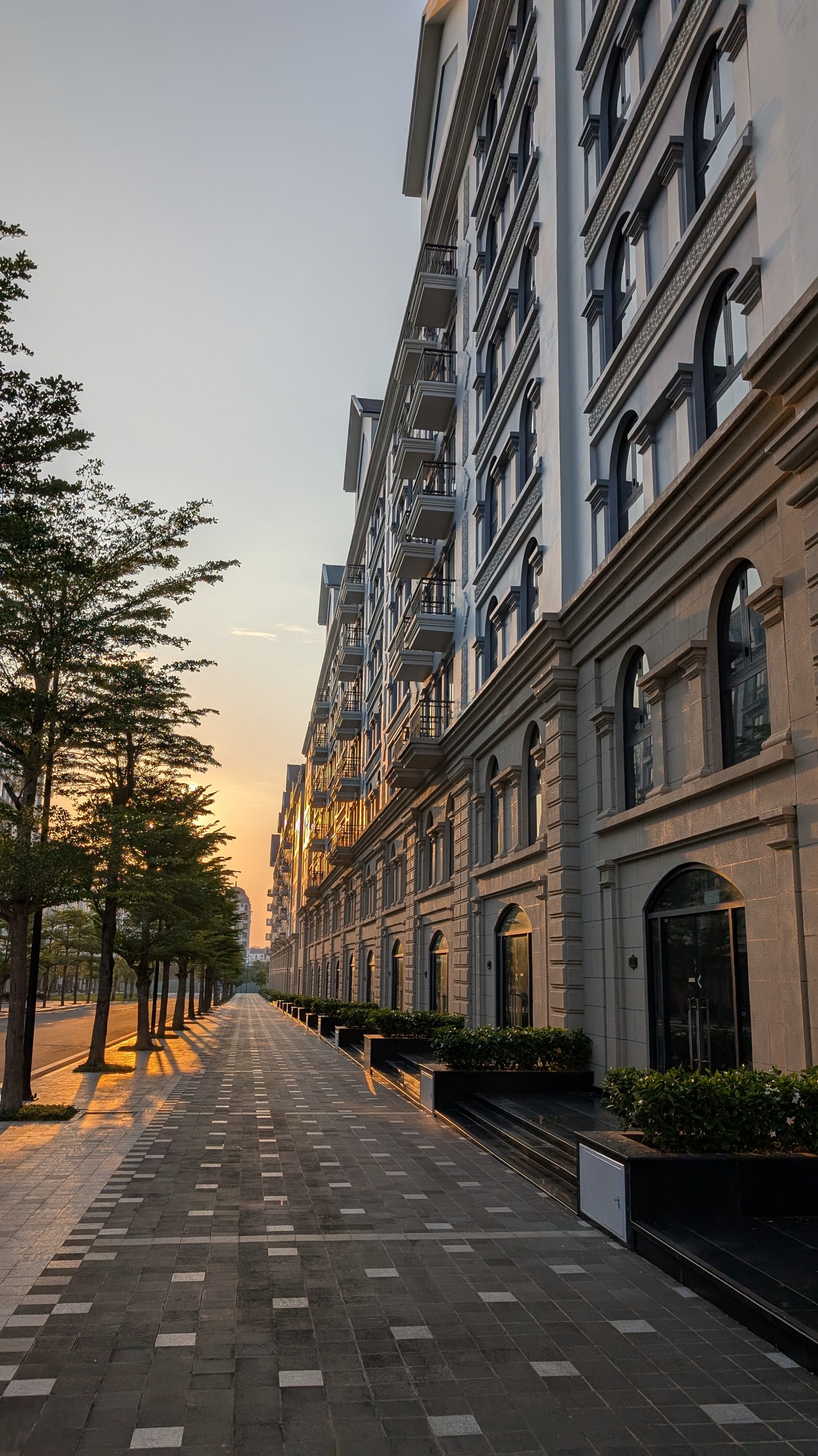 An empty paved boulevard at golden hour lined with tall cream-coloured European-style shophouses and young trees