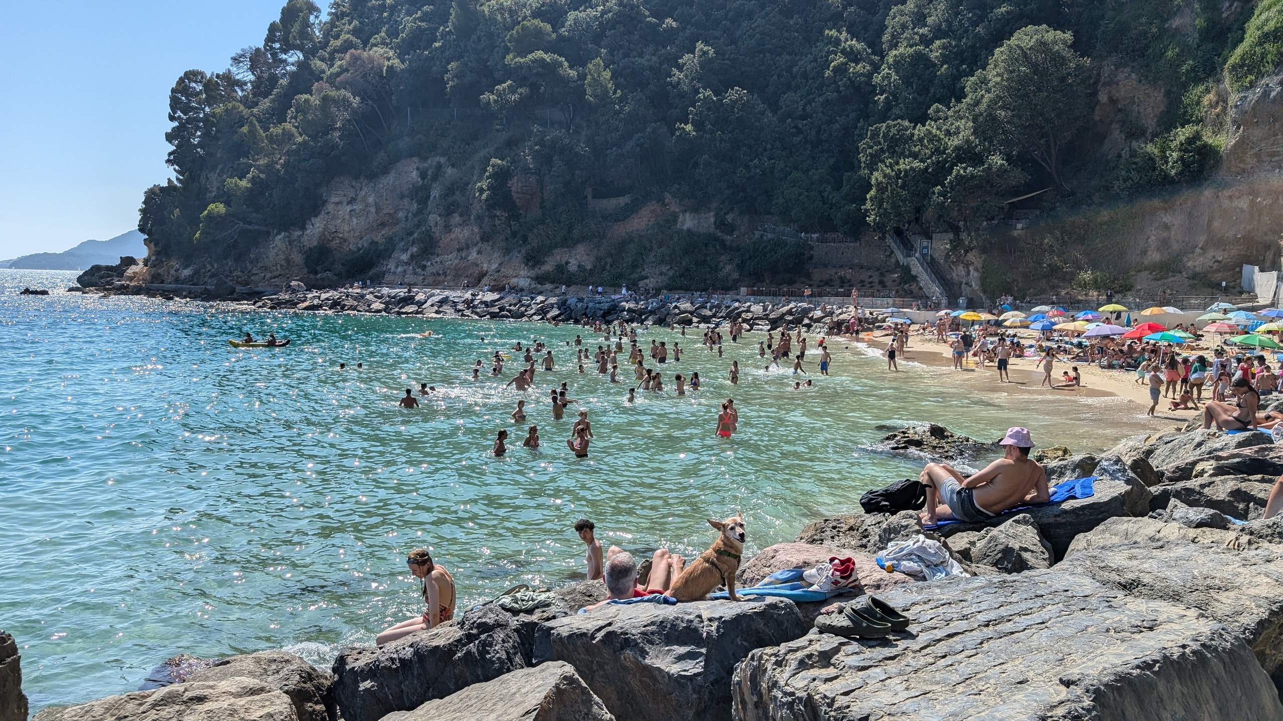 People swimming in clear turquoise water off a small sandy beach at San Terenzo, with a dog and sunbathers on flat rocks in the foreground and a wooded cliff behind