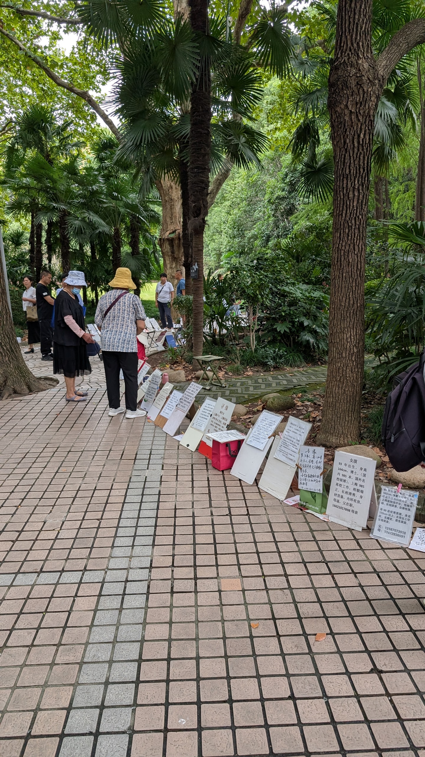 Handwritten marriage advertisements propped in a row along a park path under trees, with older people standing beside them