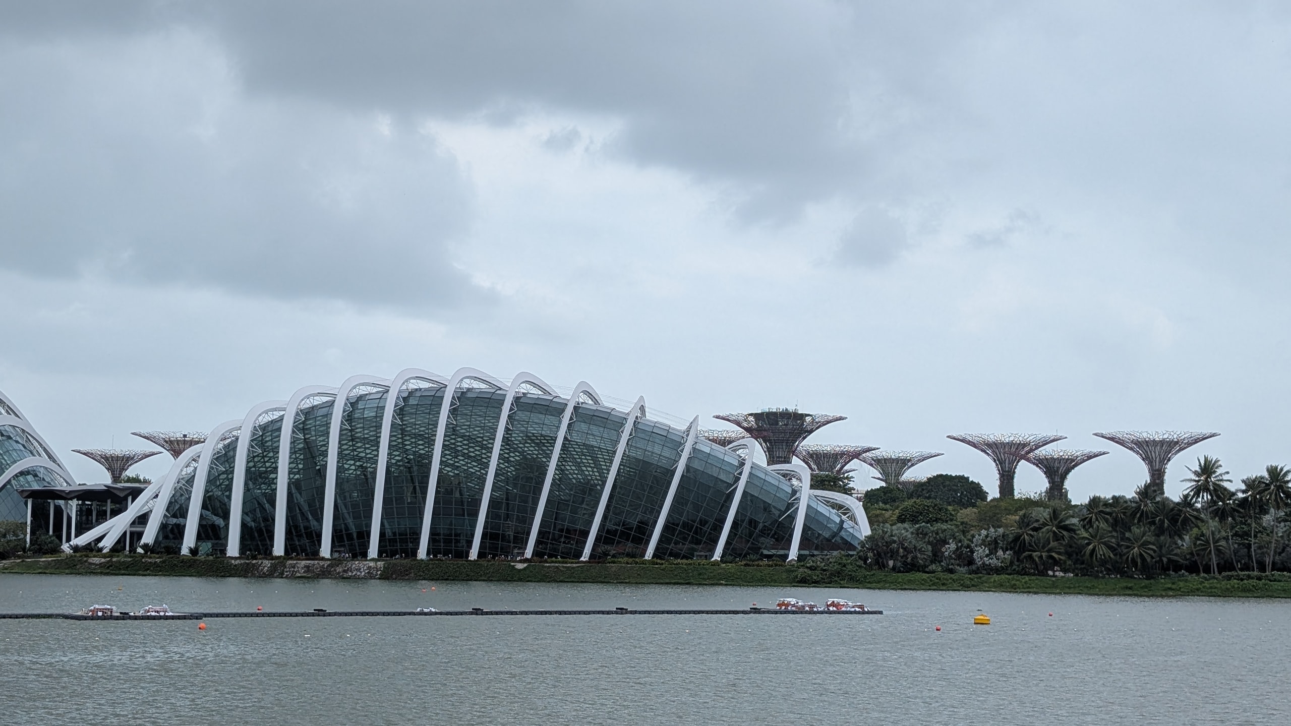 The curved glass roofs of the Flower Dome and Cloud Forest conservatories beside the Supertree Grove, seen across the water from Marina Bay
