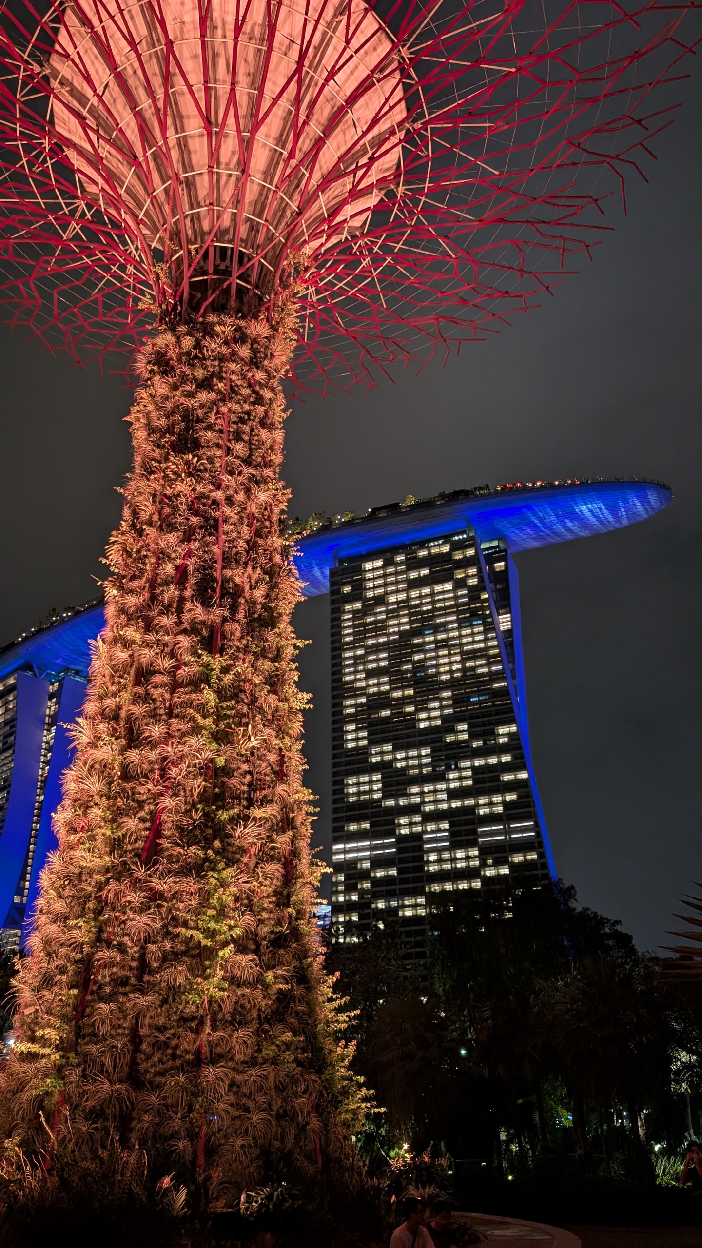 A Supertree lit orange at night from directly below, with Marina Bay Sands glowing blue behind it