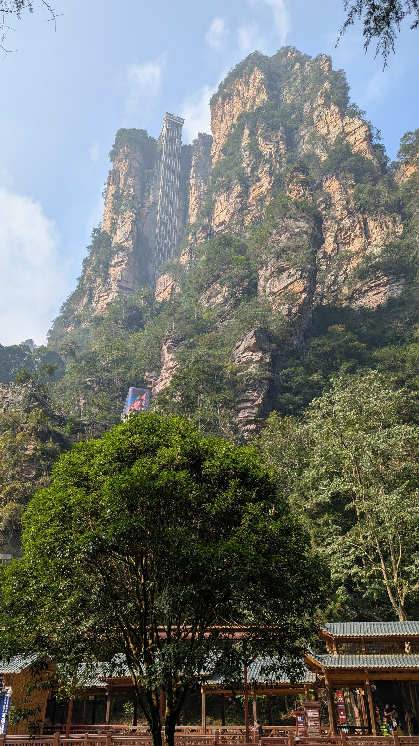 The Bailong glass elevator running up a sheer sandstone cliff face above trees and a wooden pavilion