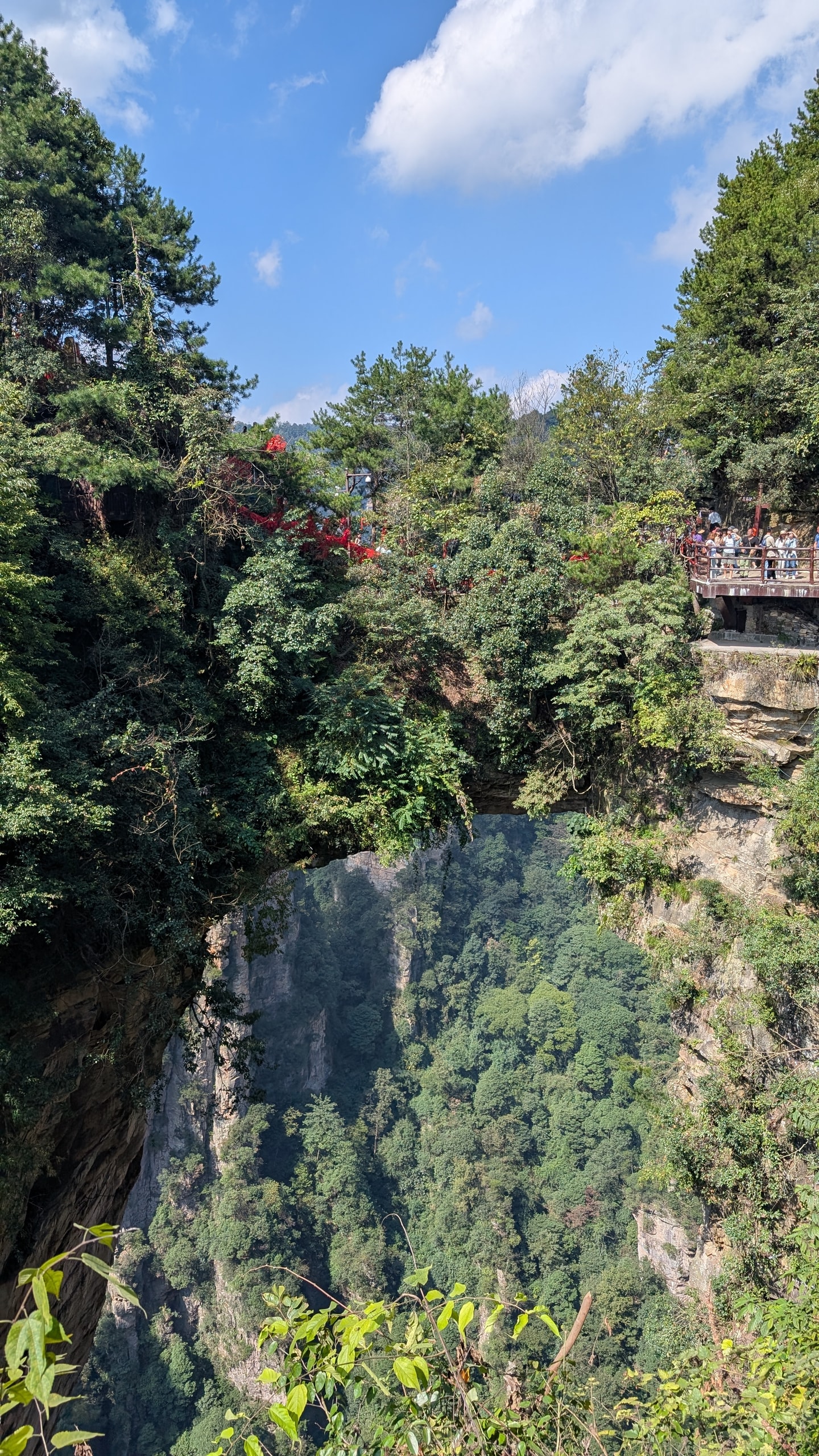A deep forested gorge seen from above, with a viewing platform of tourists on the right rim and a red pavilion on the left